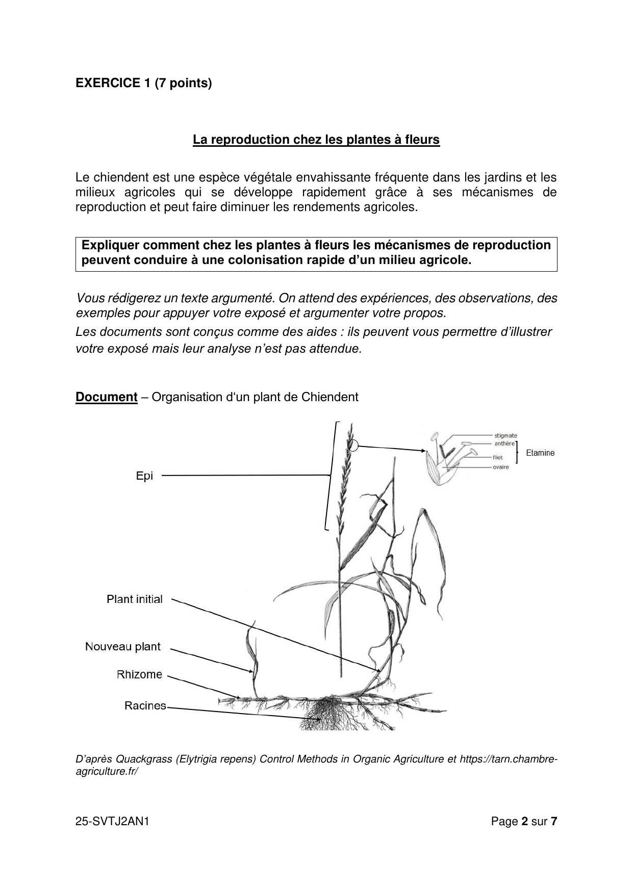 Sujet officiel Amérique du Nord J2 2025 - page 2 (Exercice 1)
