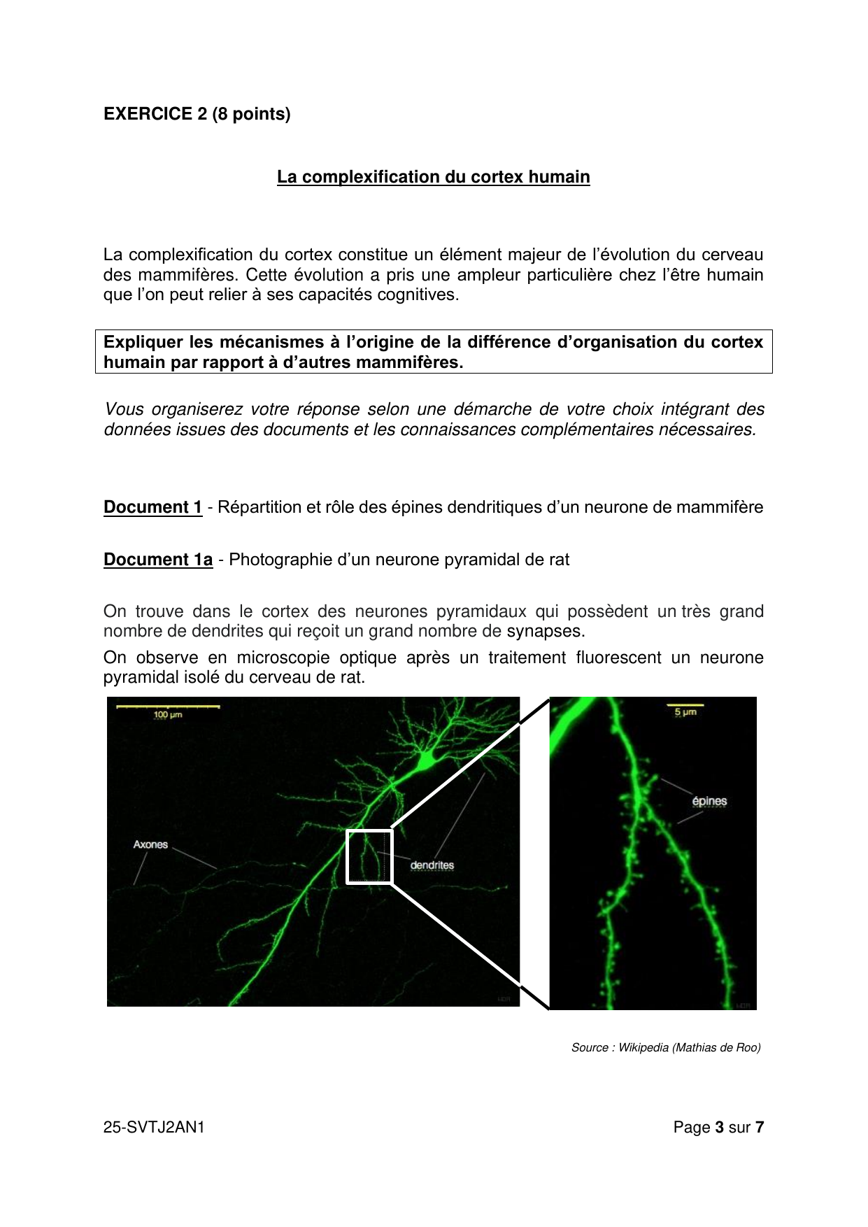 AN J2 2025 - page 3 (Exercice 2 : question + Document 1a)