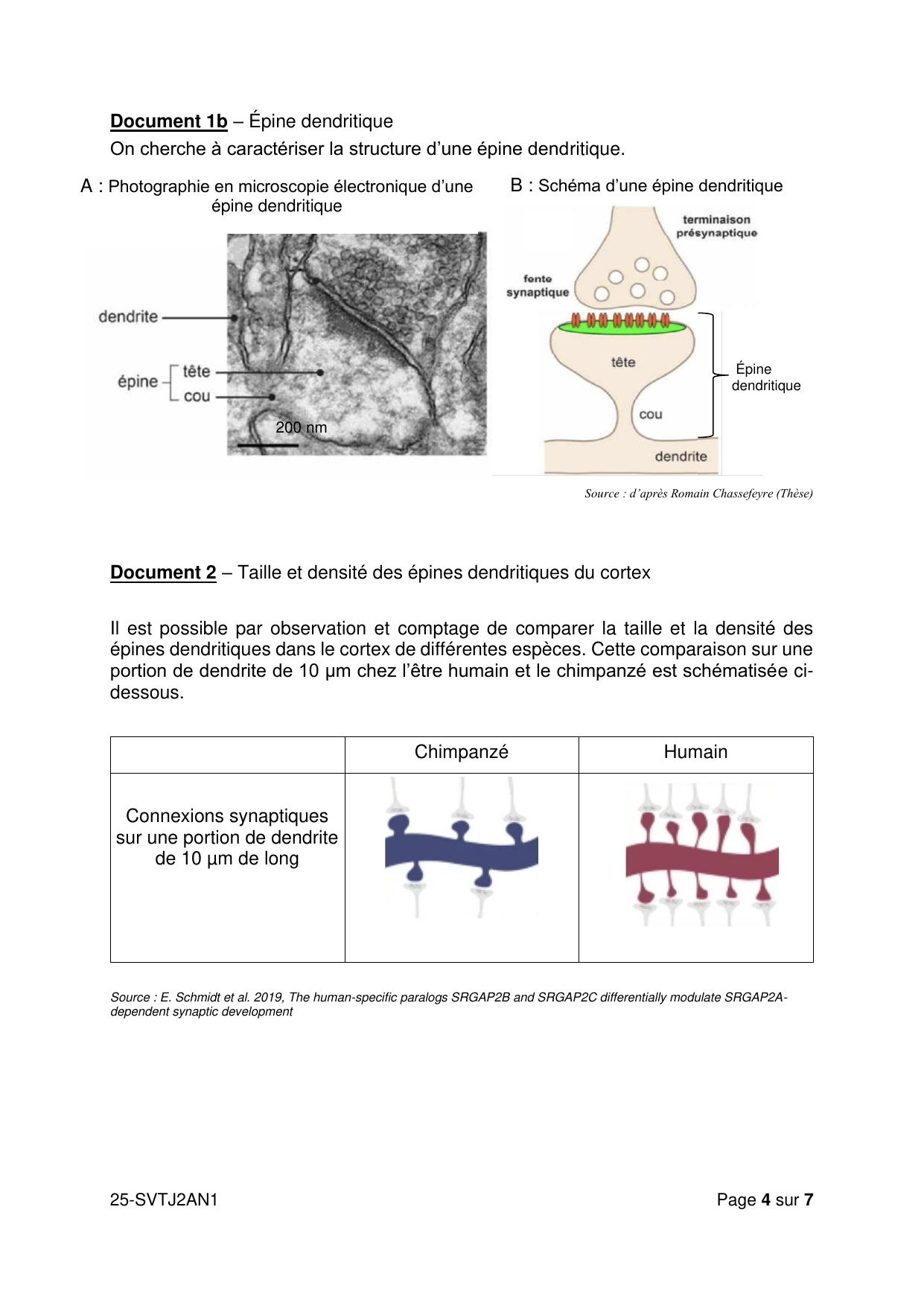 AN J2 2025 - page 4 (Docs 1b et 2)