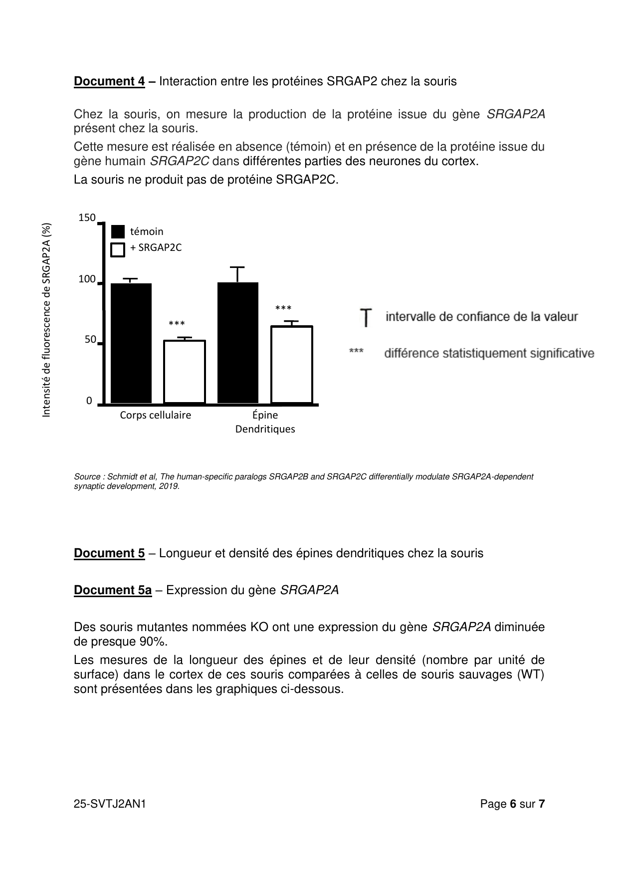 AN J2 2025 - page 6 (Docs 4 et 5a)