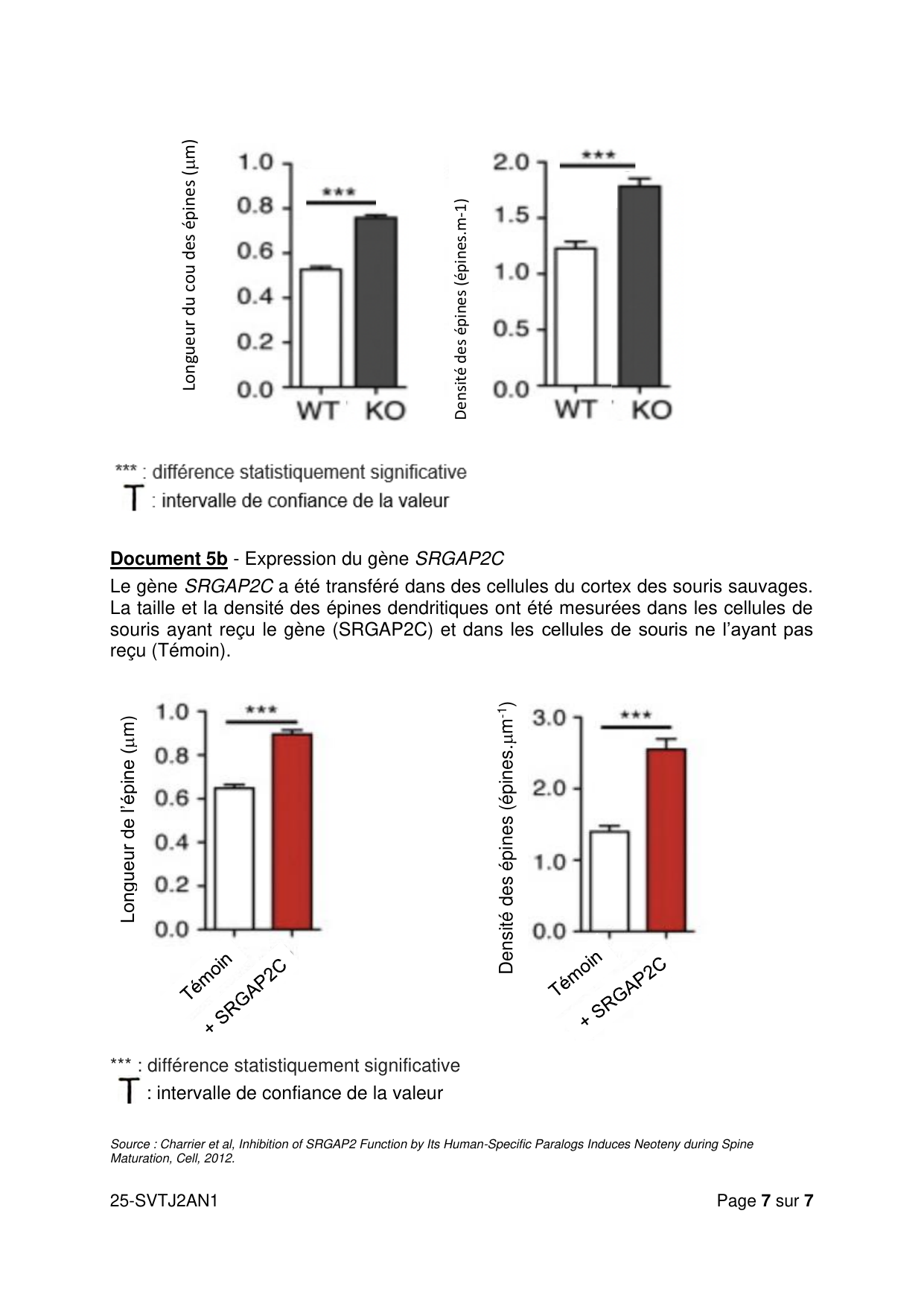AN J2 2025 - page 7 (Document 5b)