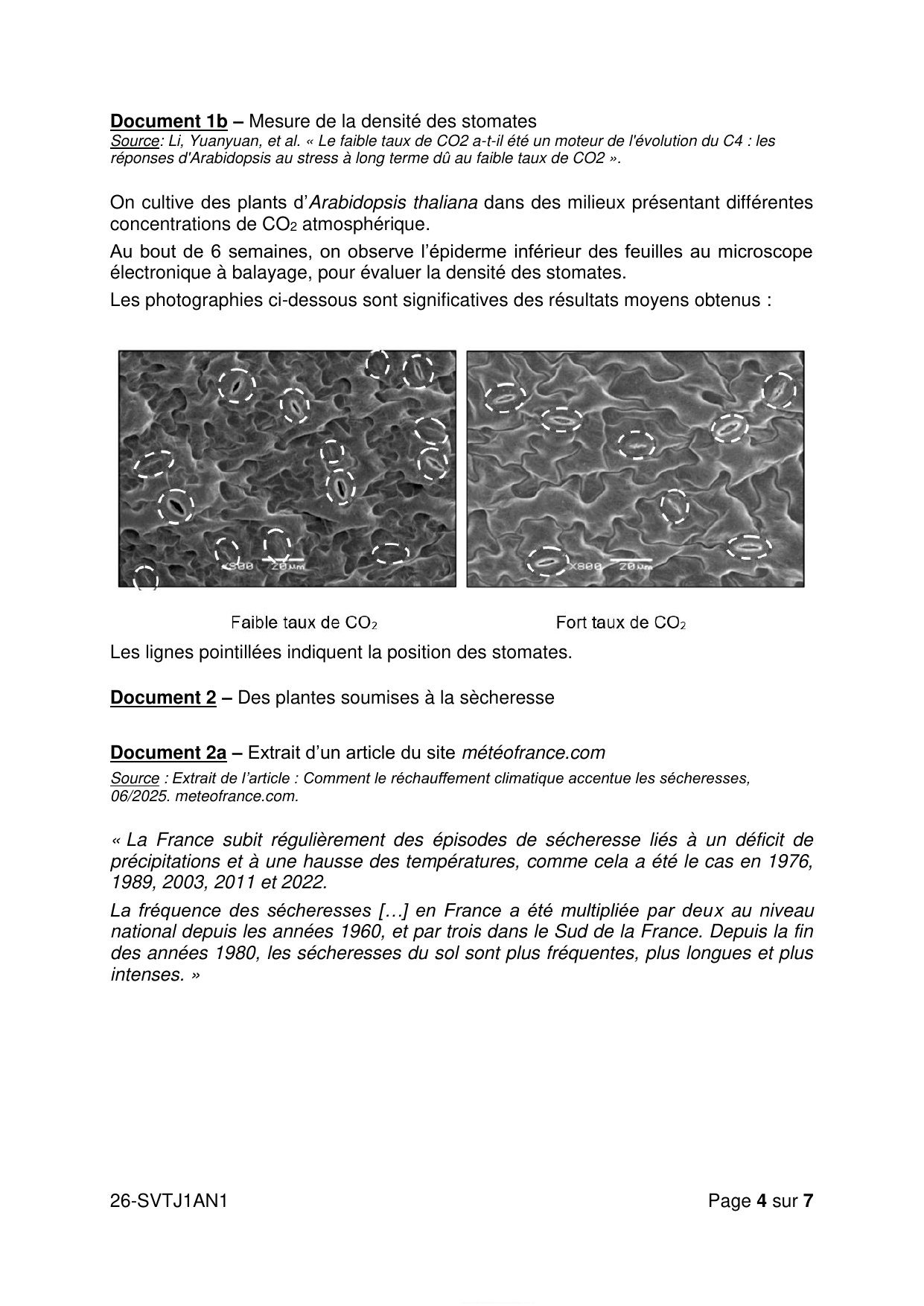 page 4 - Doc 1b (densité stomates) + Doc 2a (sécheresse)
