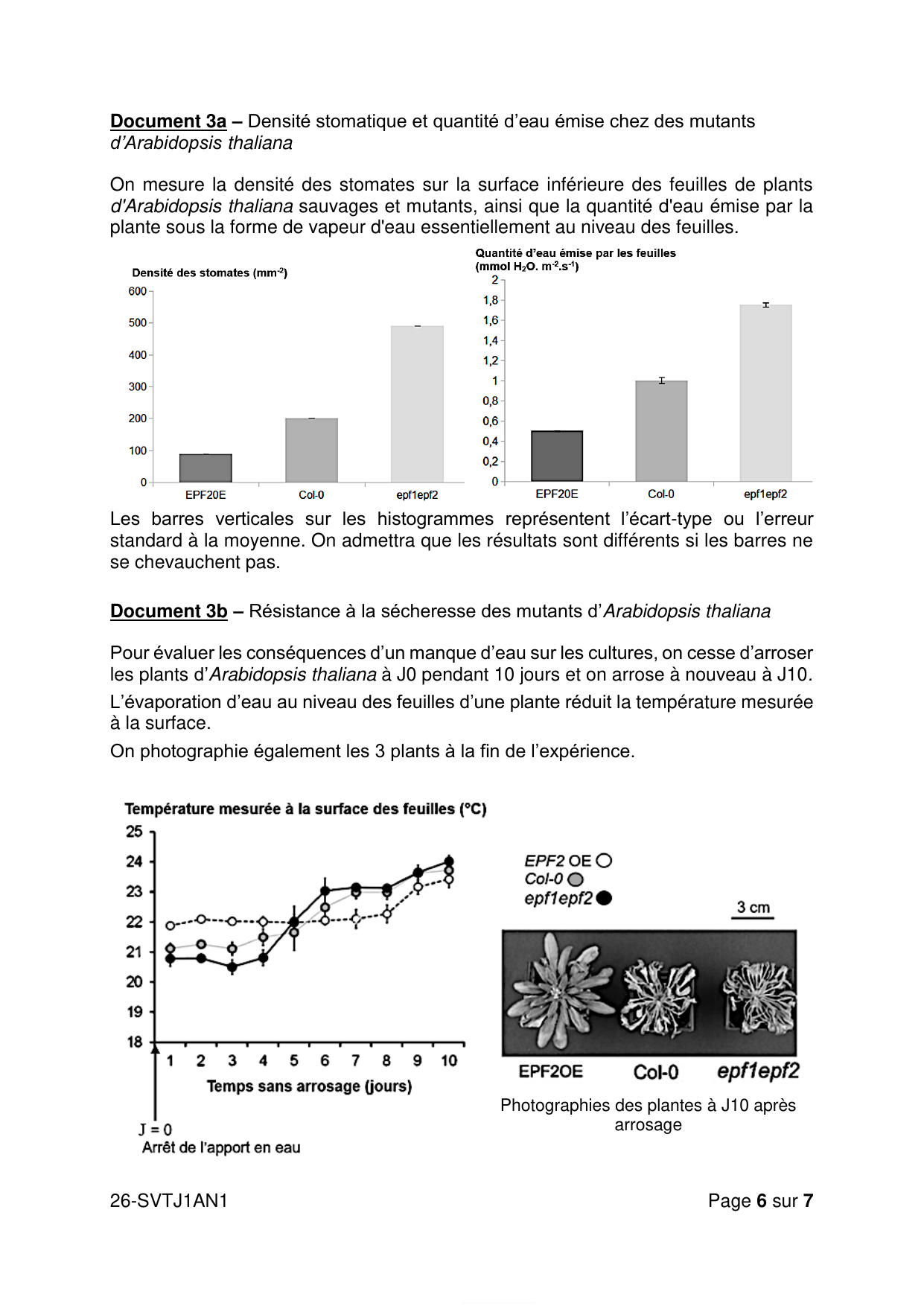 page 6 - Doc 3 (mutagénèse EPF)
