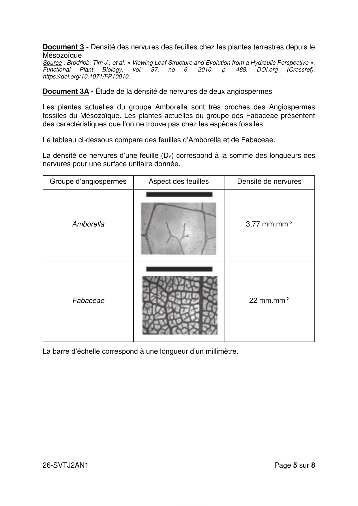 page 5 - Doc 3A (Amborella vs Fabaceae, Dn)