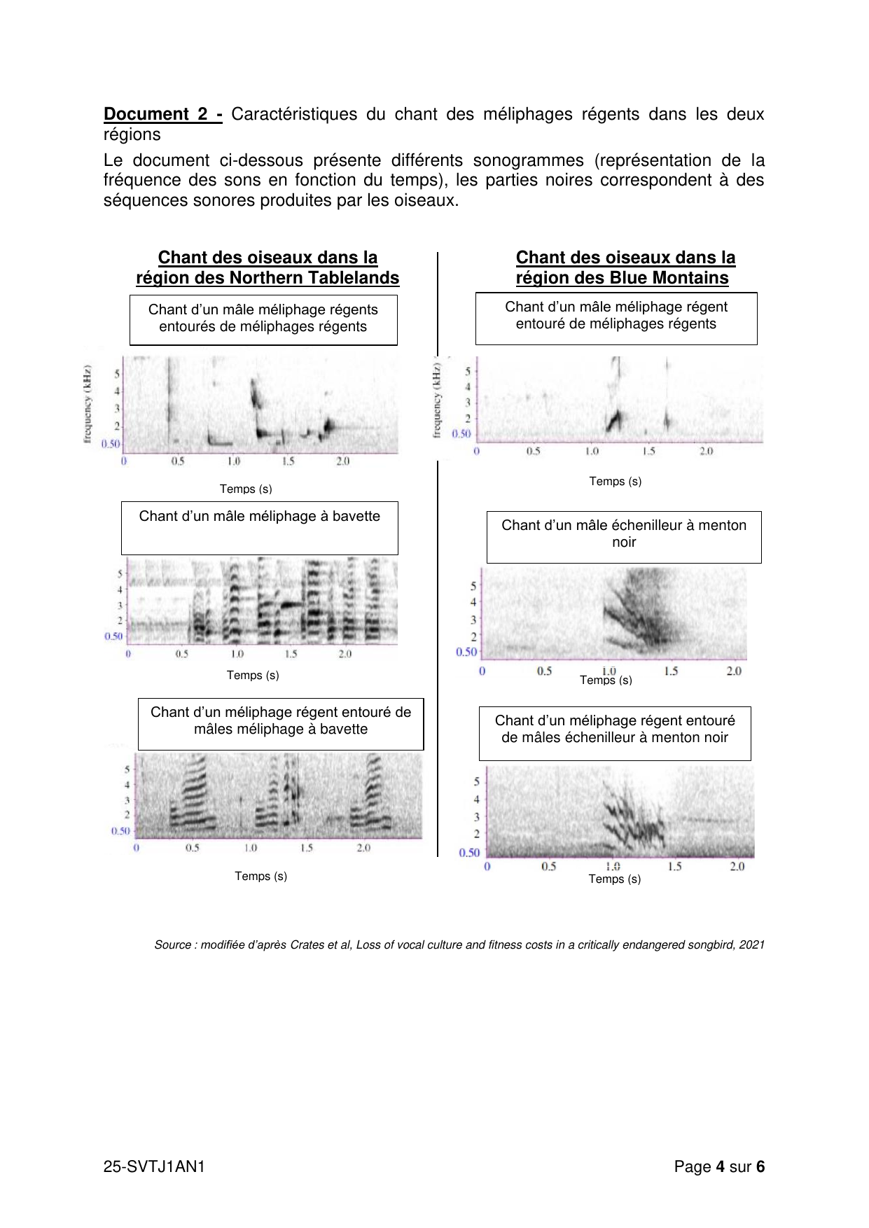 AN J1 2025 - page 4 (Document 2 : sonogrammes)