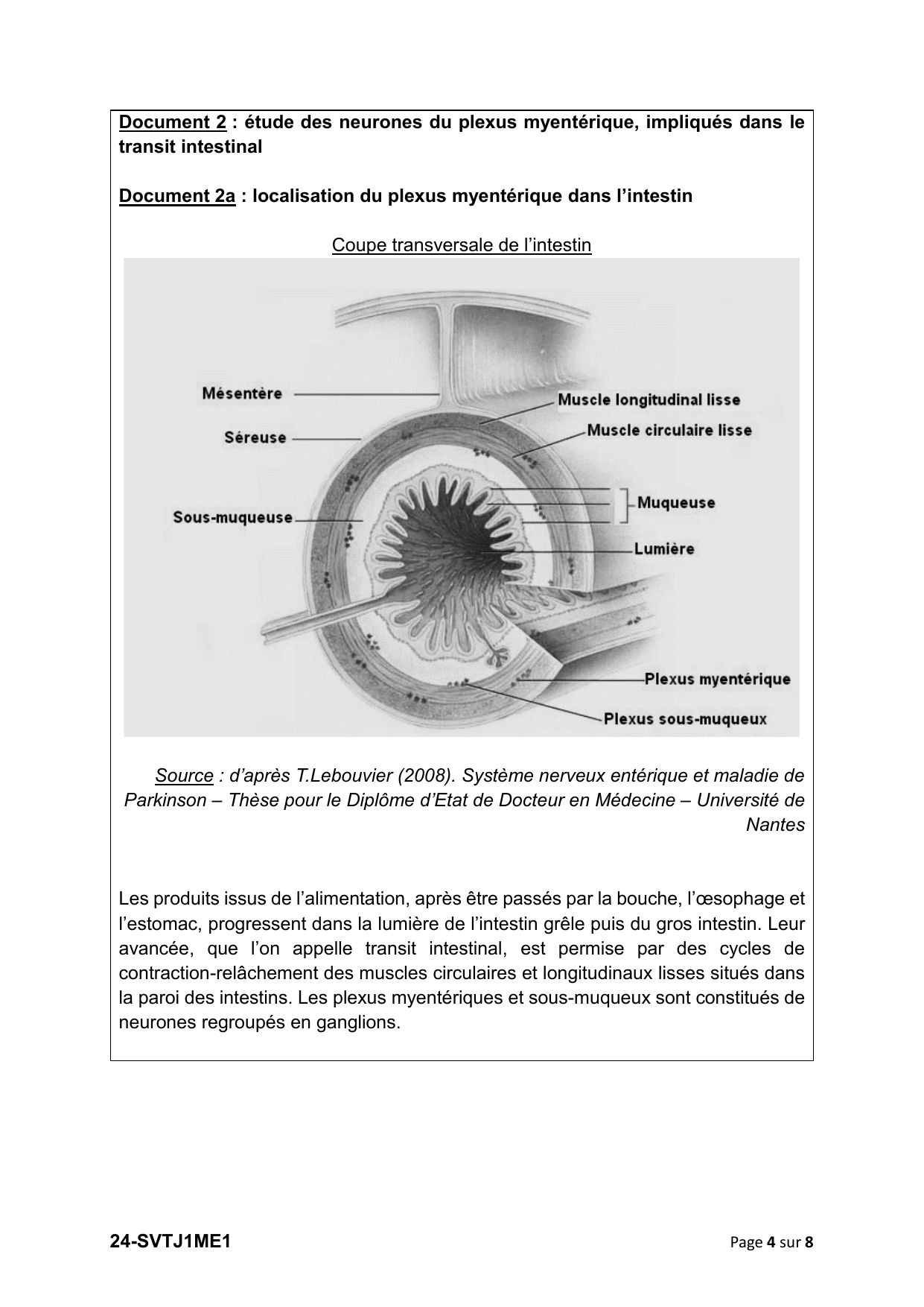 page 4 - Doc 2a plexus myentérique