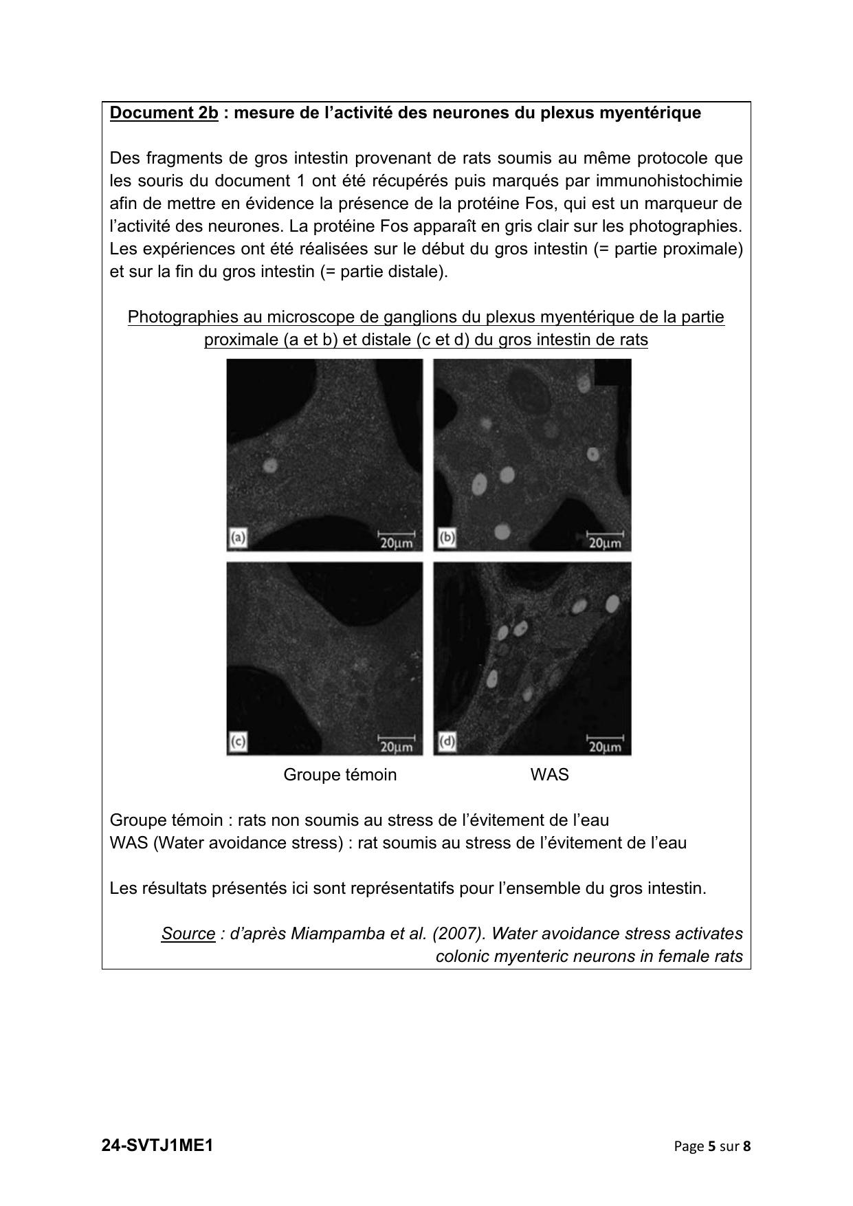 page 5 - Doc 2b activité des neurones (Fos)