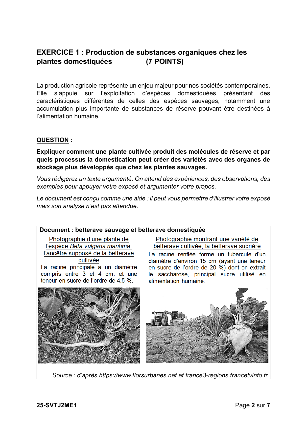 Sujet officiel Métropole J2 2025 - page 2 (Exercice 1)