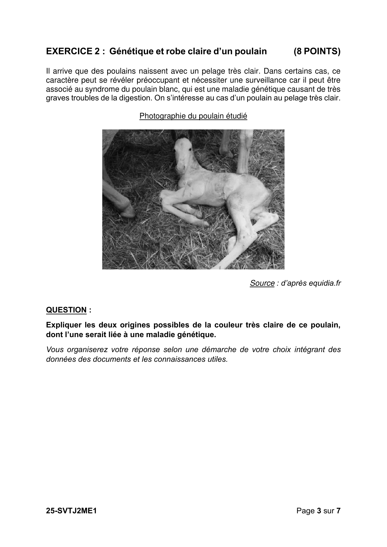 Métropole J2 2025 - page 3 (Exercice 2 : question)
