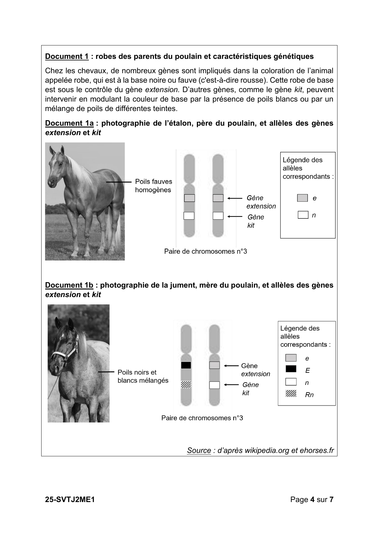 Métropole J2 2025 - page 4 (Doc 1a-b : robes des parents)