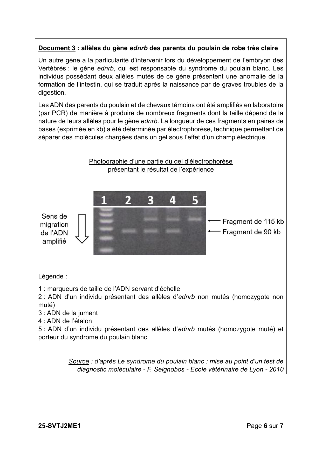 Métropole J2 2025 - page 6 (Doc 3 : ednrb, gel)