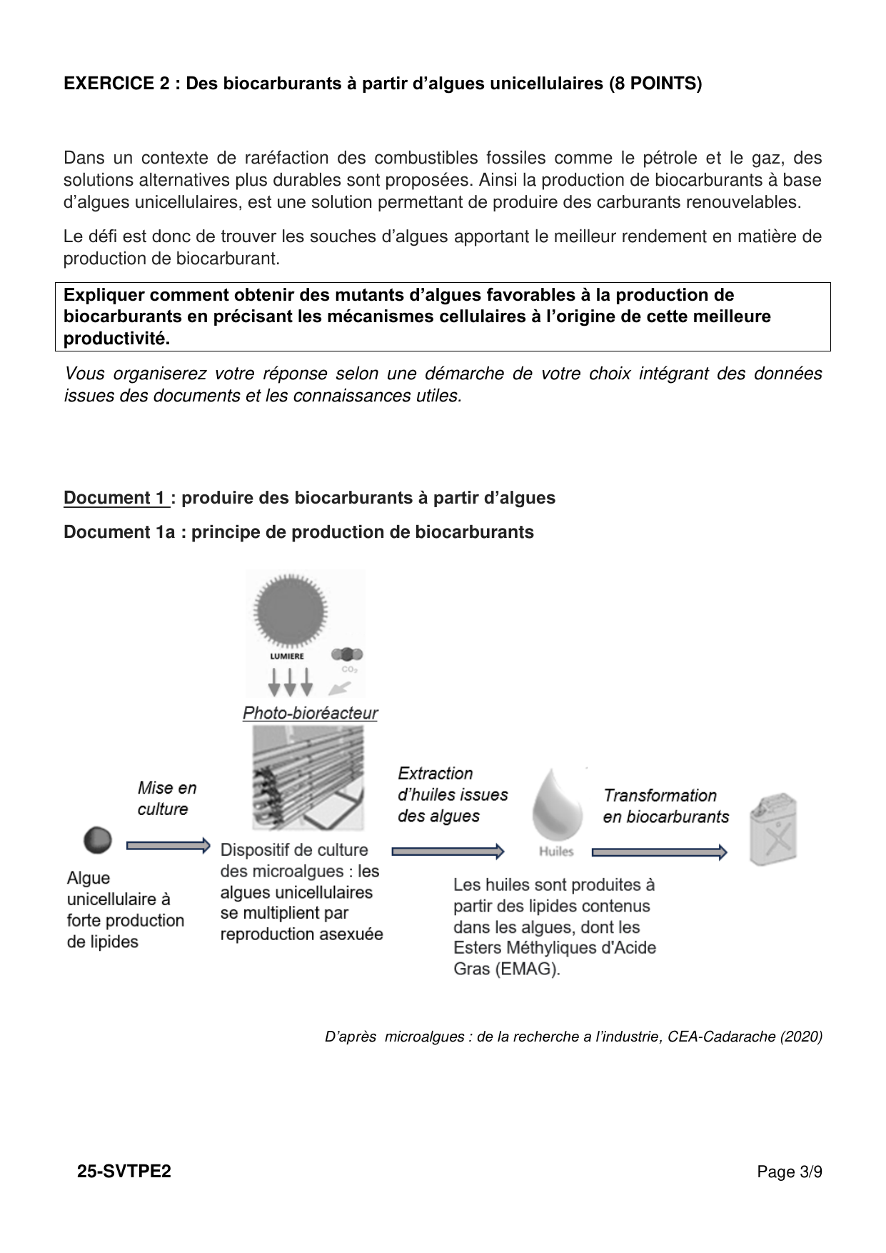 Polynésie 2025 - page 3 (Exercice 2 : question + Doc 1a)