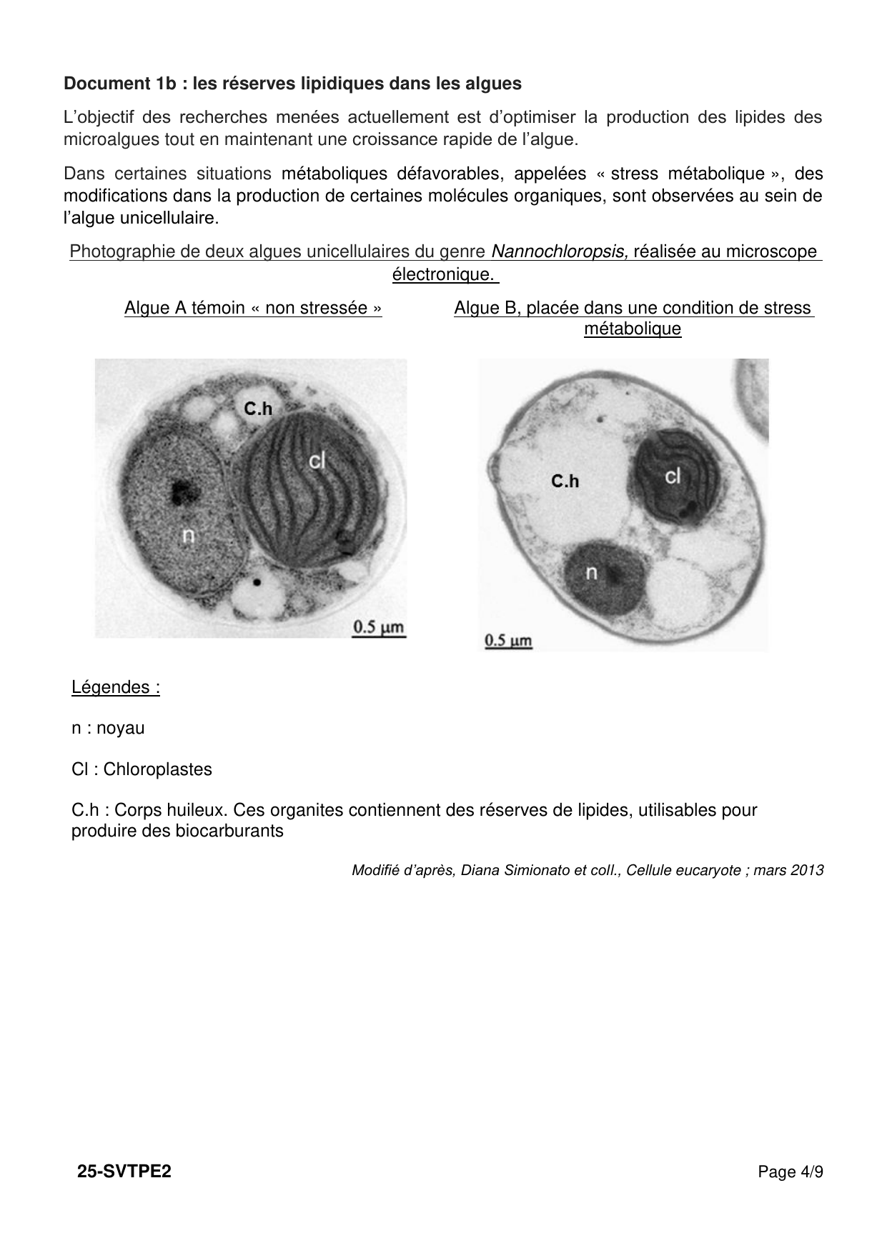 Polynésie 2025 - page 4 (Doc 1b)