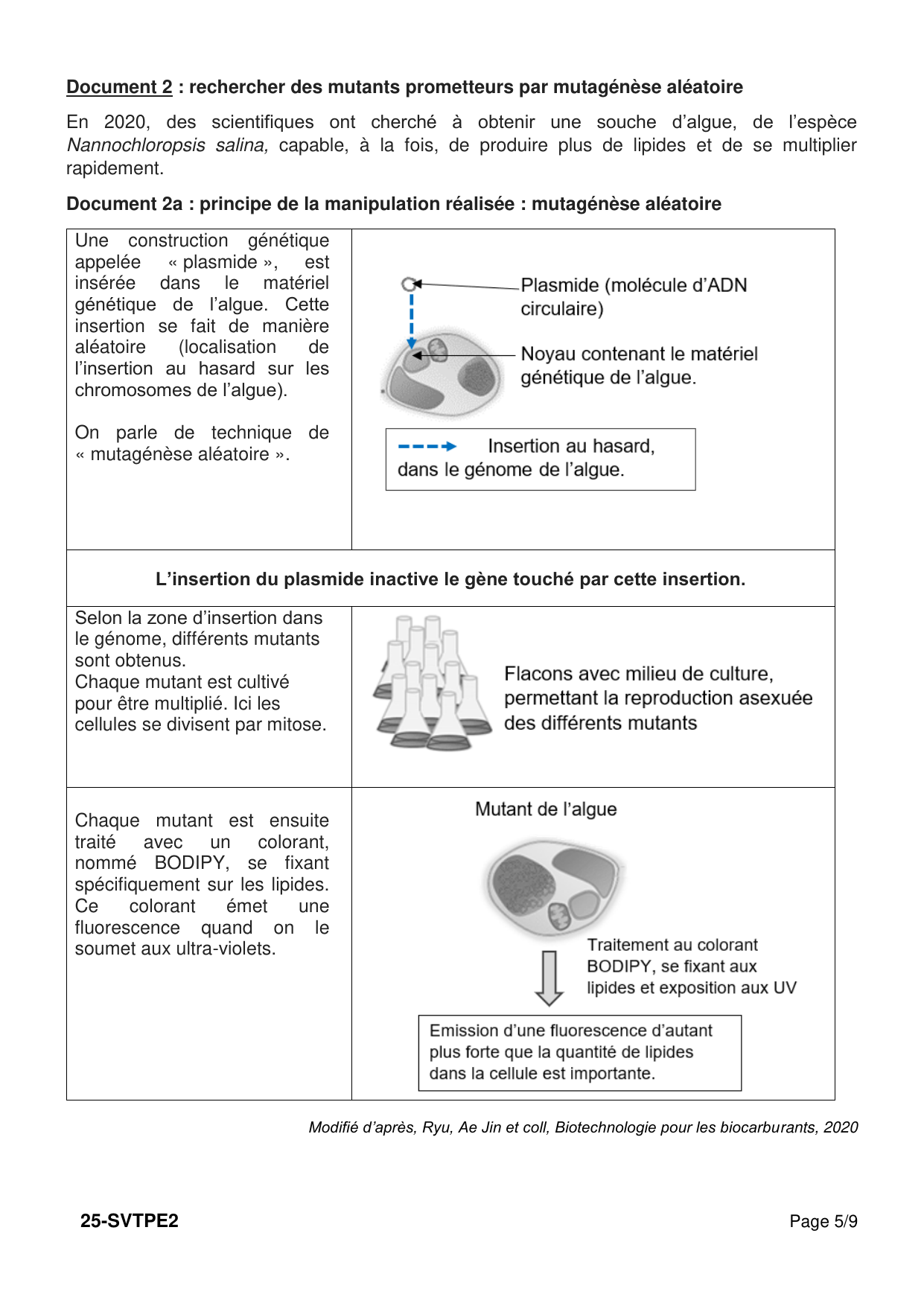 Polynésie 2025 - page 5 (Doc 2a)