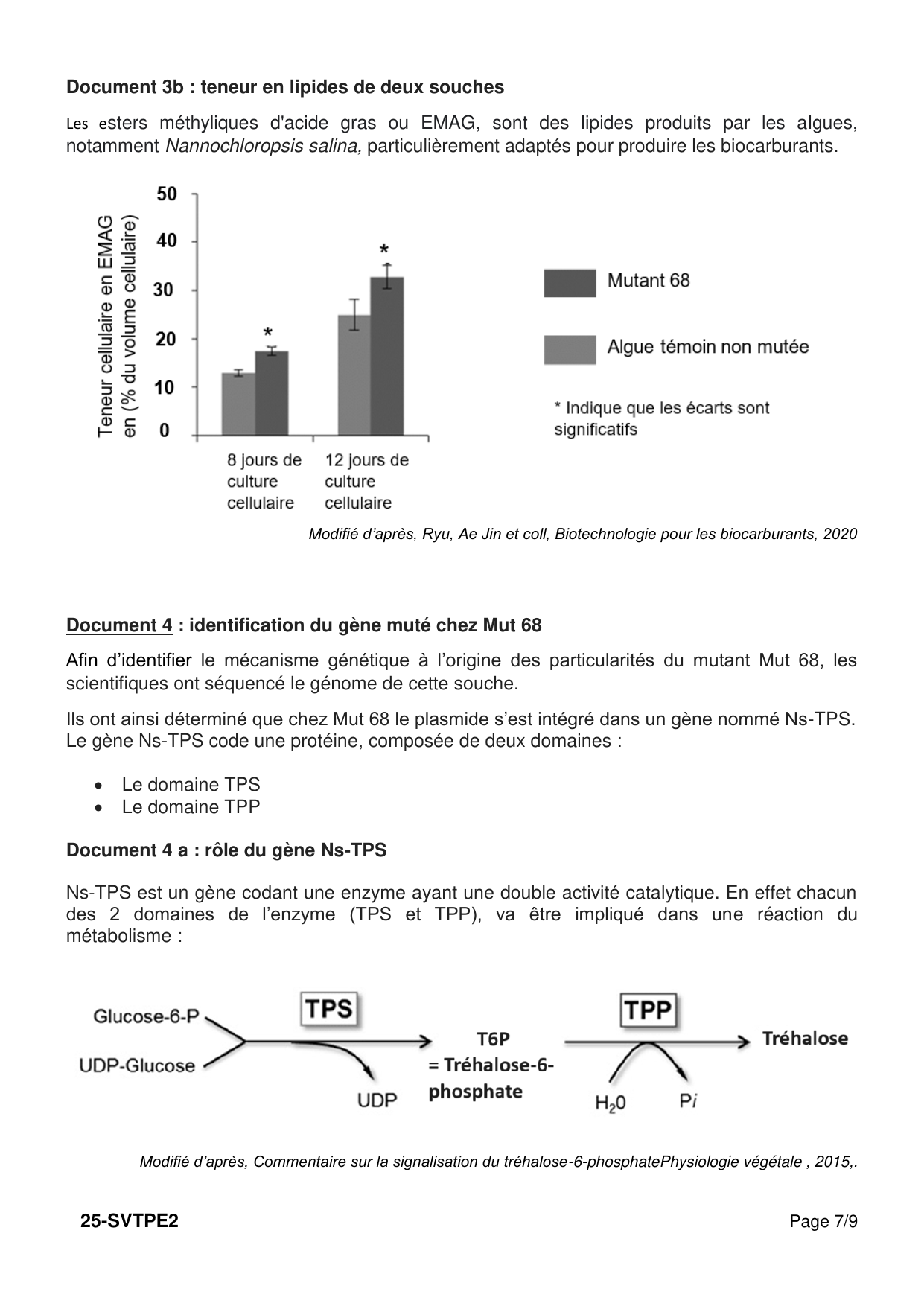 Polynésie 2025 - page 7 (Docs 3b et 4)